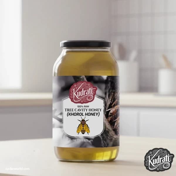 প্রাকৃতিক বুনো গাছের খোড়লের মধু | কুদরাতি ওয়াইল্ড হানি | 500g